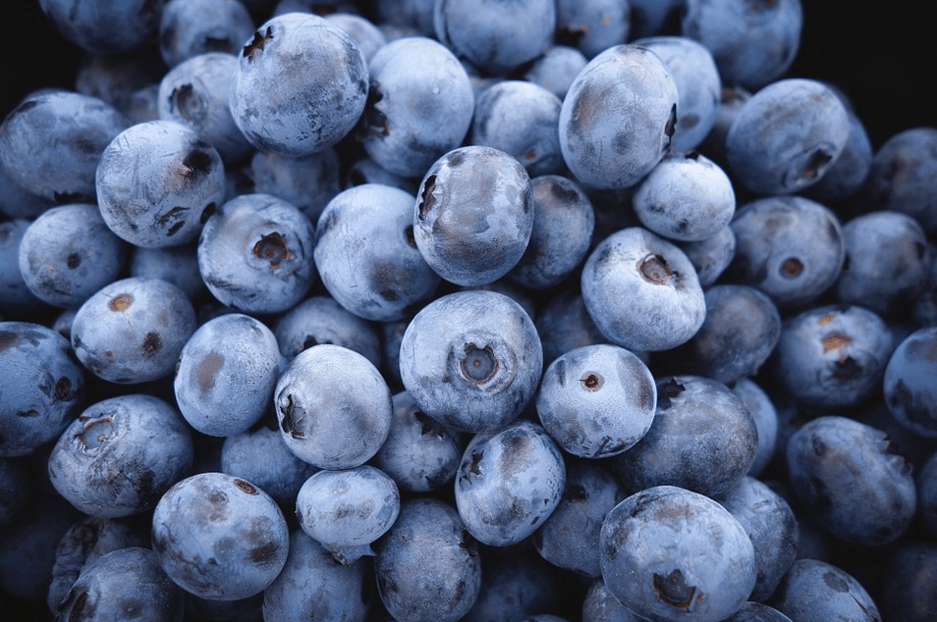 blueberries aron mapreserbar ang kabatan-onan