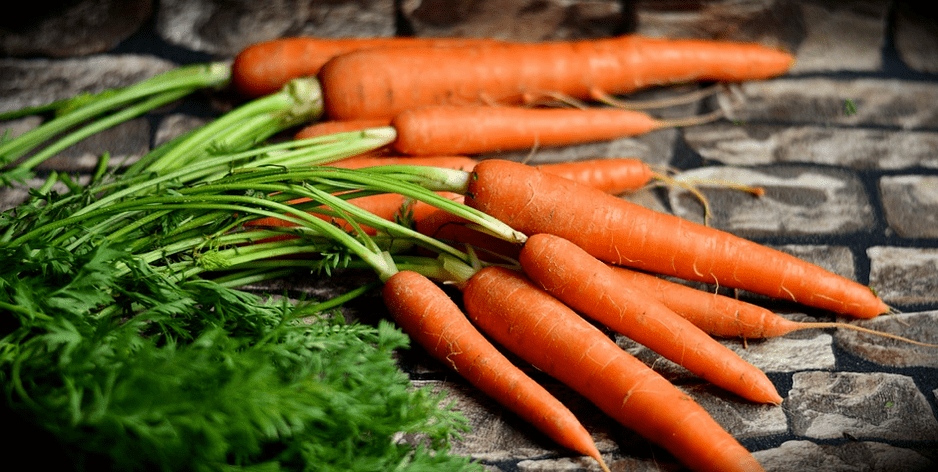 carrots aron mapreserbar ang kabatan-onan